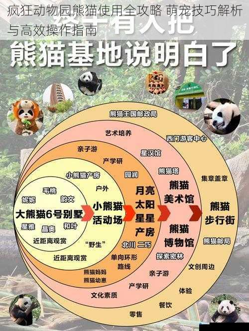 疯狂动物园熊猫使用全攻略 萌宠技巧解析与高效操作指南