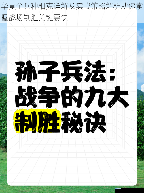 华夏全兵种相克详解及实战策略解析助你掌握战场制胜关键要诀