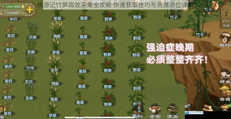 桃源记竹笋高效采集全攻略 快速获取技巧与资源点位详解