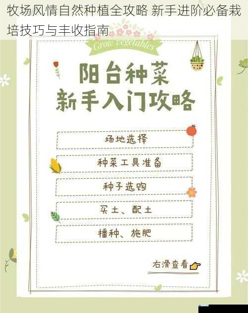 牧场风情自然种植全攻略 新手进阶必备栽培技巧与丰收指南