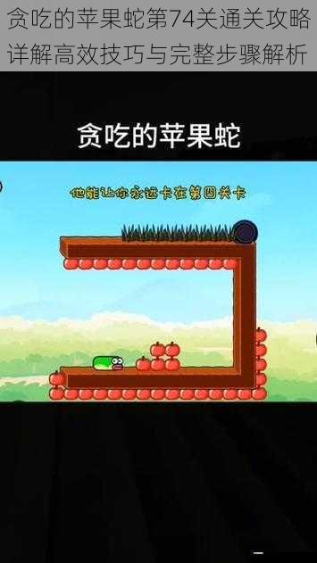 贪吃的苹果蛇第74关通关攻略详解高效技巧与完整步骤解析