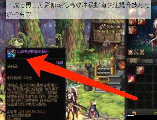 地下城与勇士刃影修炼记高效冲级指南快速提升技巧与实战经验分享