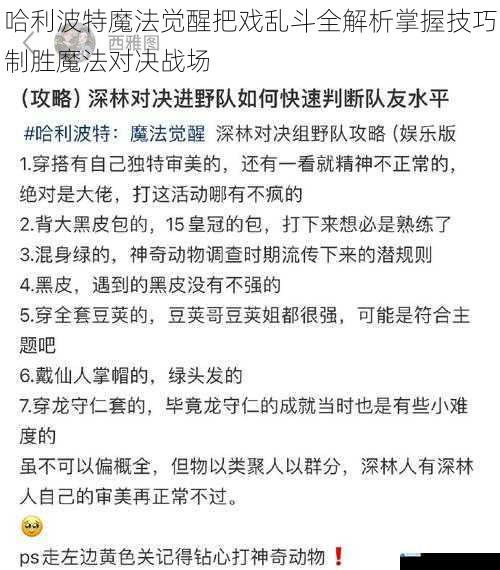 哈利波特魔法觉醒把戏乱斗全解析掌握技巧制胜魔法对决战场