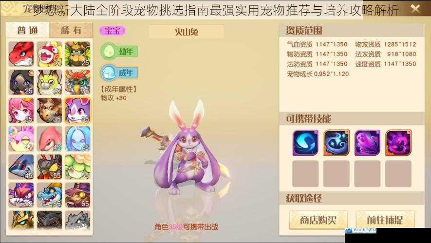 梦想新大陆全阶段宠物挑选指南最强实用宠物推荐与培养攻略解析