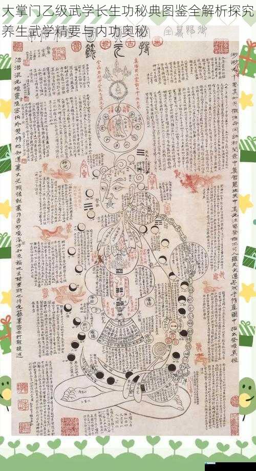 大掌门乙级武学长生功秘典图鉴全解析探究养生武学精要与内功奥秘