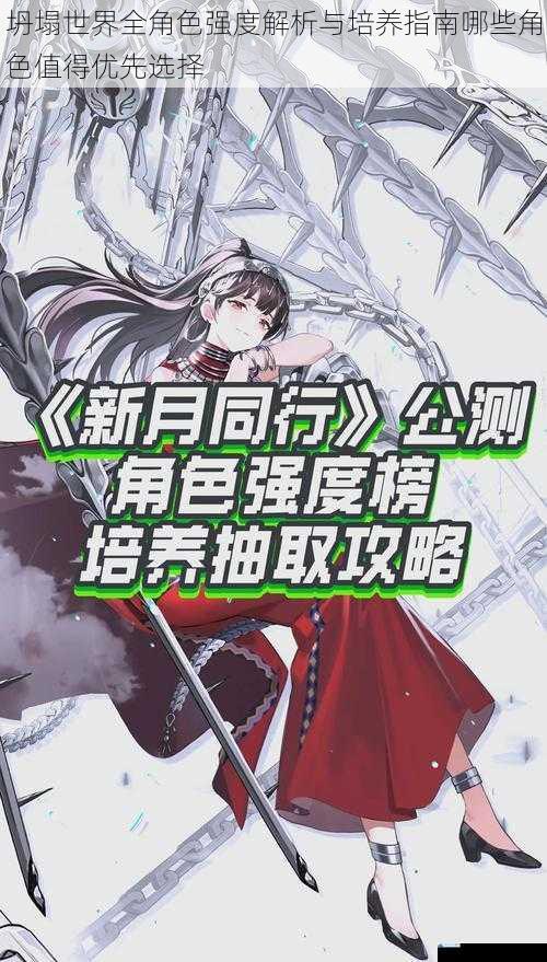 坍塌世界全角色强度解析与培养指南哪些角色值得优先选择