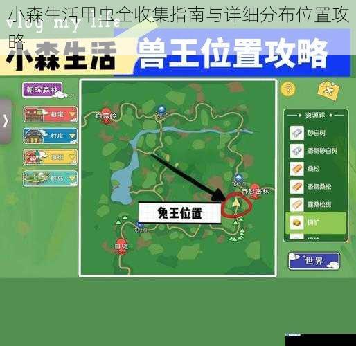 小森生活甲虫全收集指南与详细分布位置攻略
