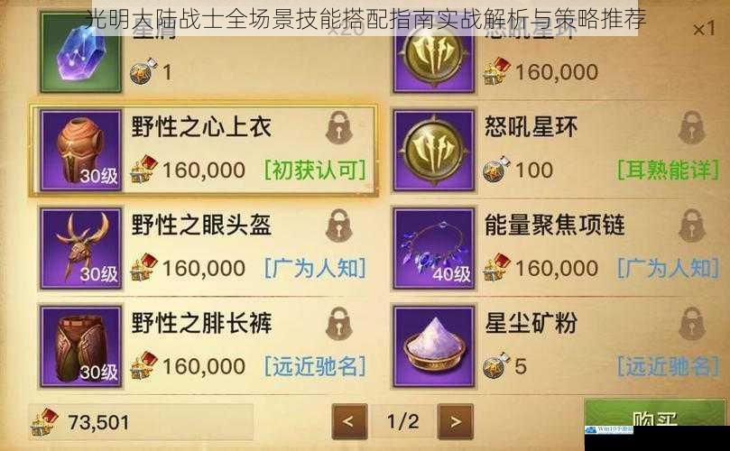 光明大陆战士全场景技能搭配指南实战解析与策略推荐