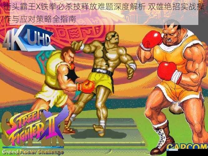 街头霸王X铁拳必杀技释放难题深度解析 双雄绝招实战操作与应对策略全指南