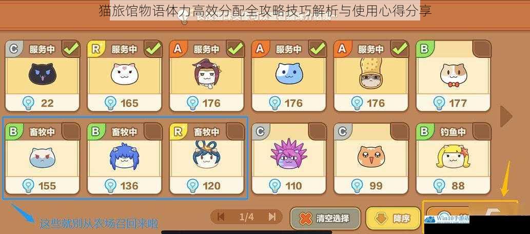 猫旅馆物语体力高效分配全攻略技巧解析与使用心得分享