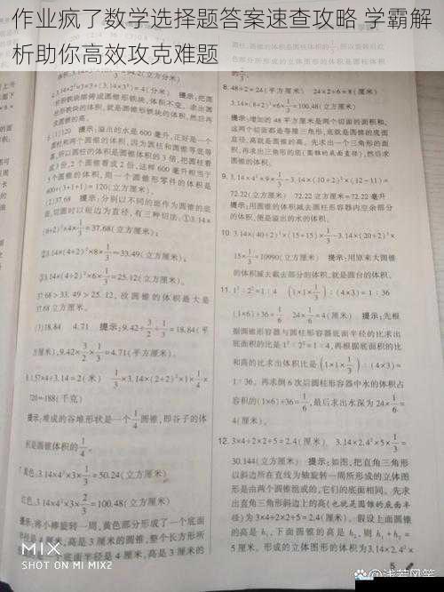 作业疯了数学选择题答案速查攻略 学霸解析助你高效攻克难题